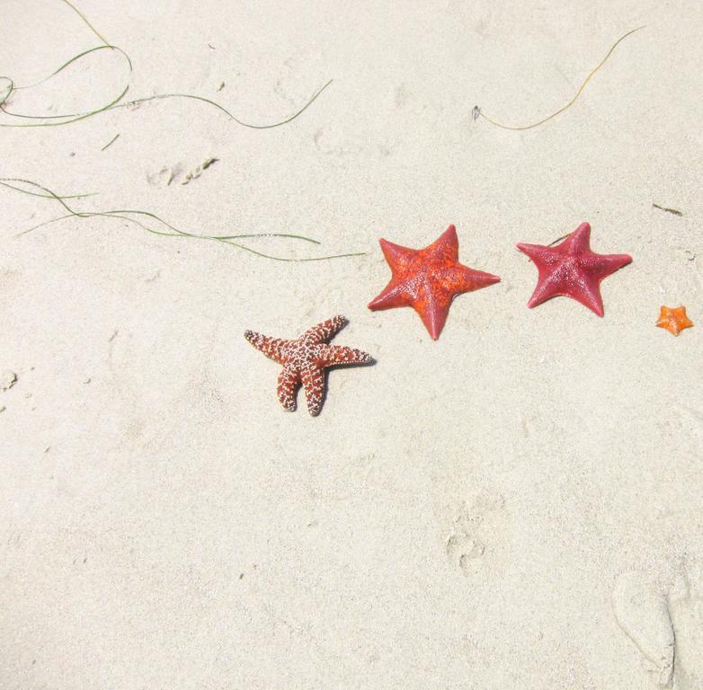 فندق كارمل فيربليس إن Carmel-by-the-Sea المظهر الخارجي الصورة